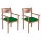 2 db tömör tíkfa kerti szék zöld párnákkal