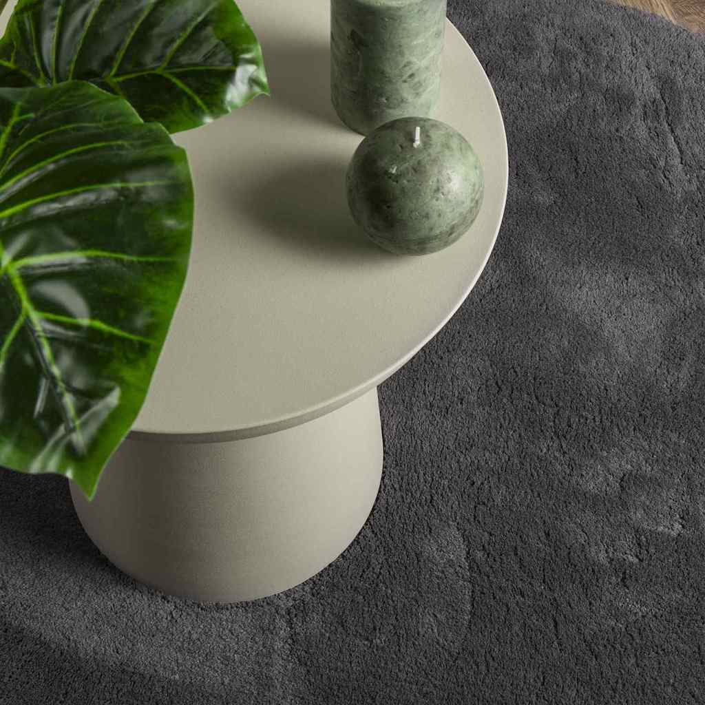 Területszőnyegek HUARTE Antracit 120 x 170 cm Poliészter