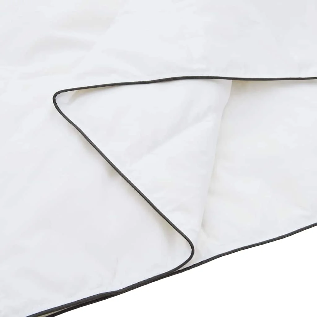 Paplan párnával 2 pcs Fehér 150 x 200 cm Pehely