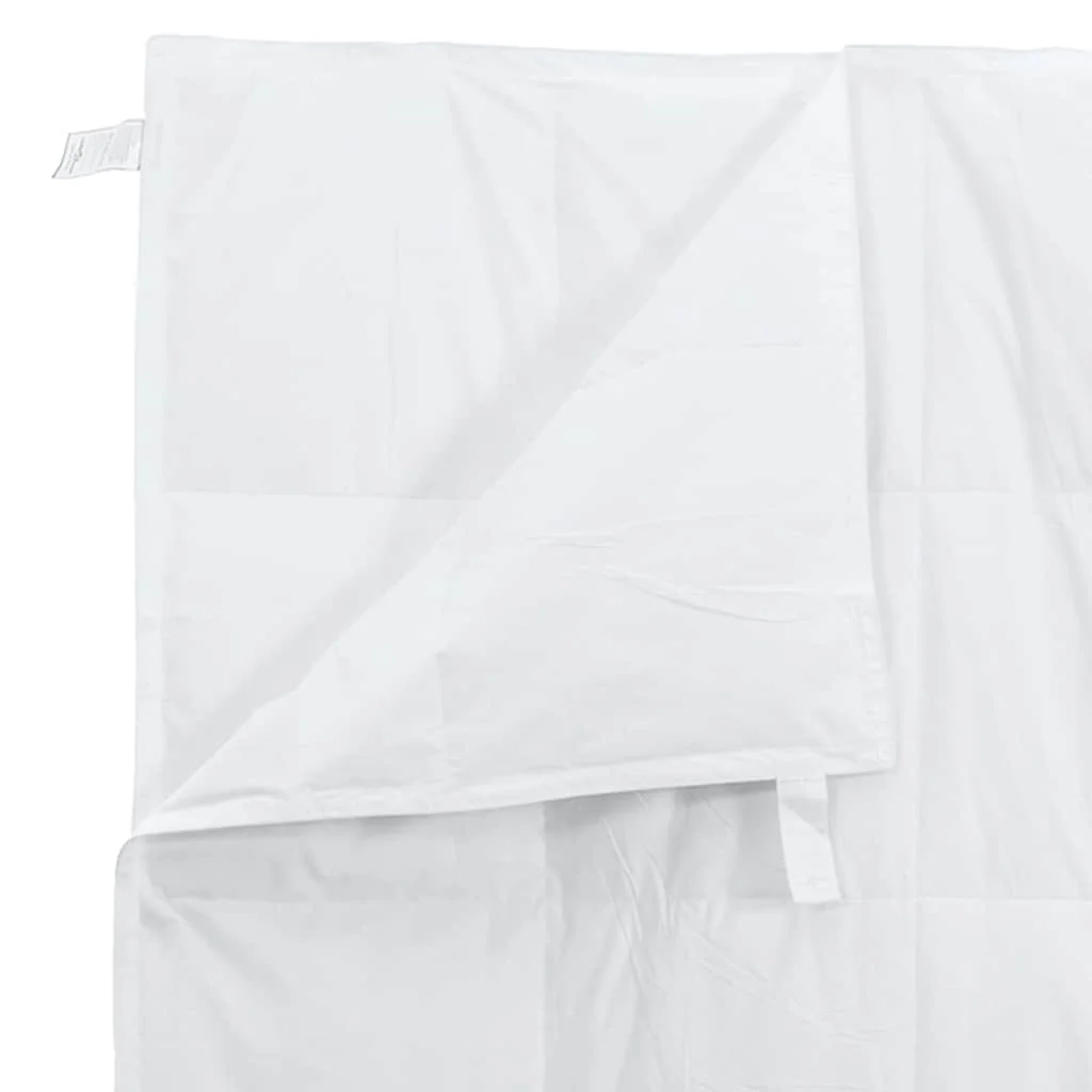 Paplan párnával 2 pcs Fehér 135 x 220 cm Pehely