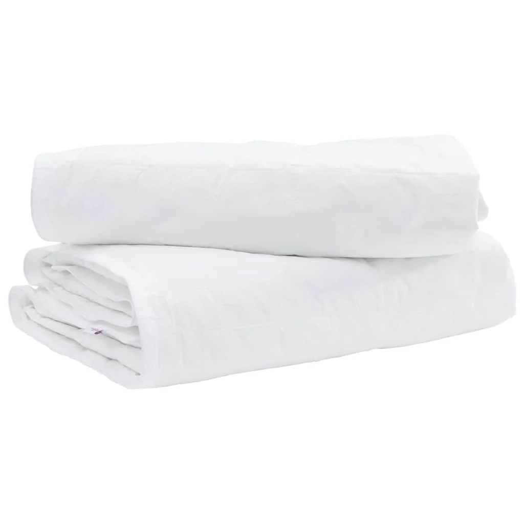Paplan párnával 2 pcs Fehér 135 x 220 cm Pehely