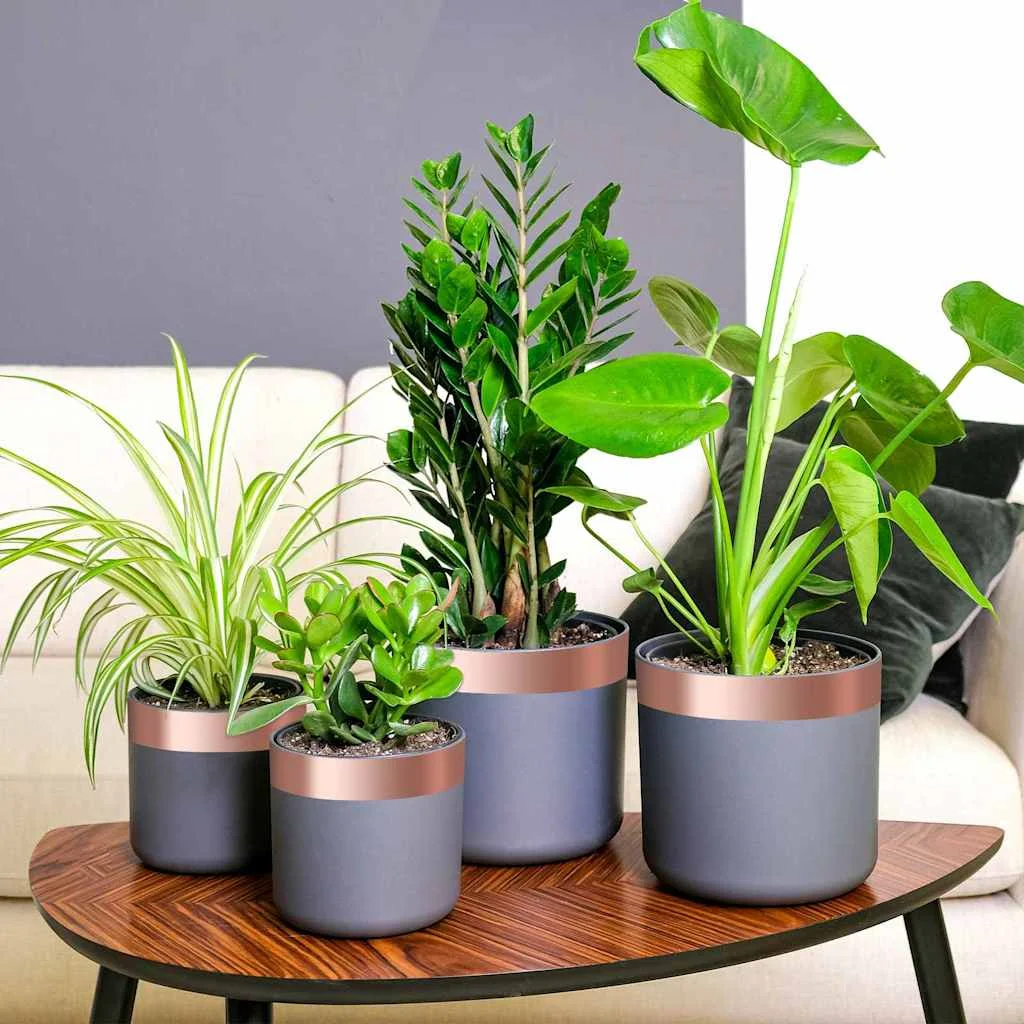 Réz szalag 6 pcs Réz 2000 x 5 cm Réz, akril irányító ragasztó