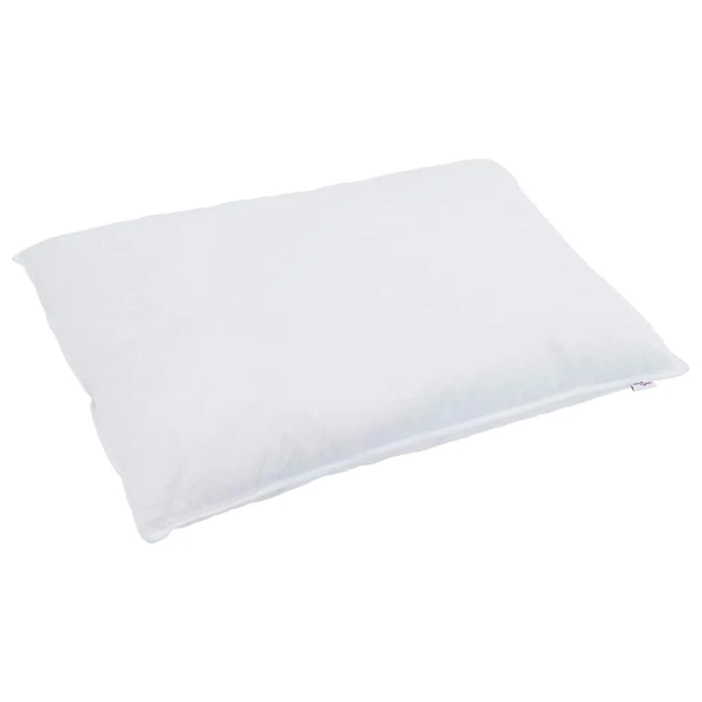 Paplan Egyéb párnával 2 pcs Fehér 155 x 220 cm Pehely