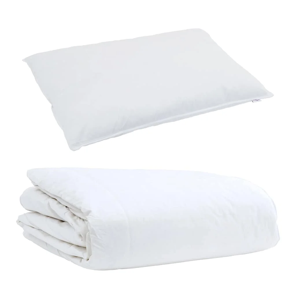 Paplan Egyéb párnával 2 pcs Fehér 155 x 220 cm Pehely