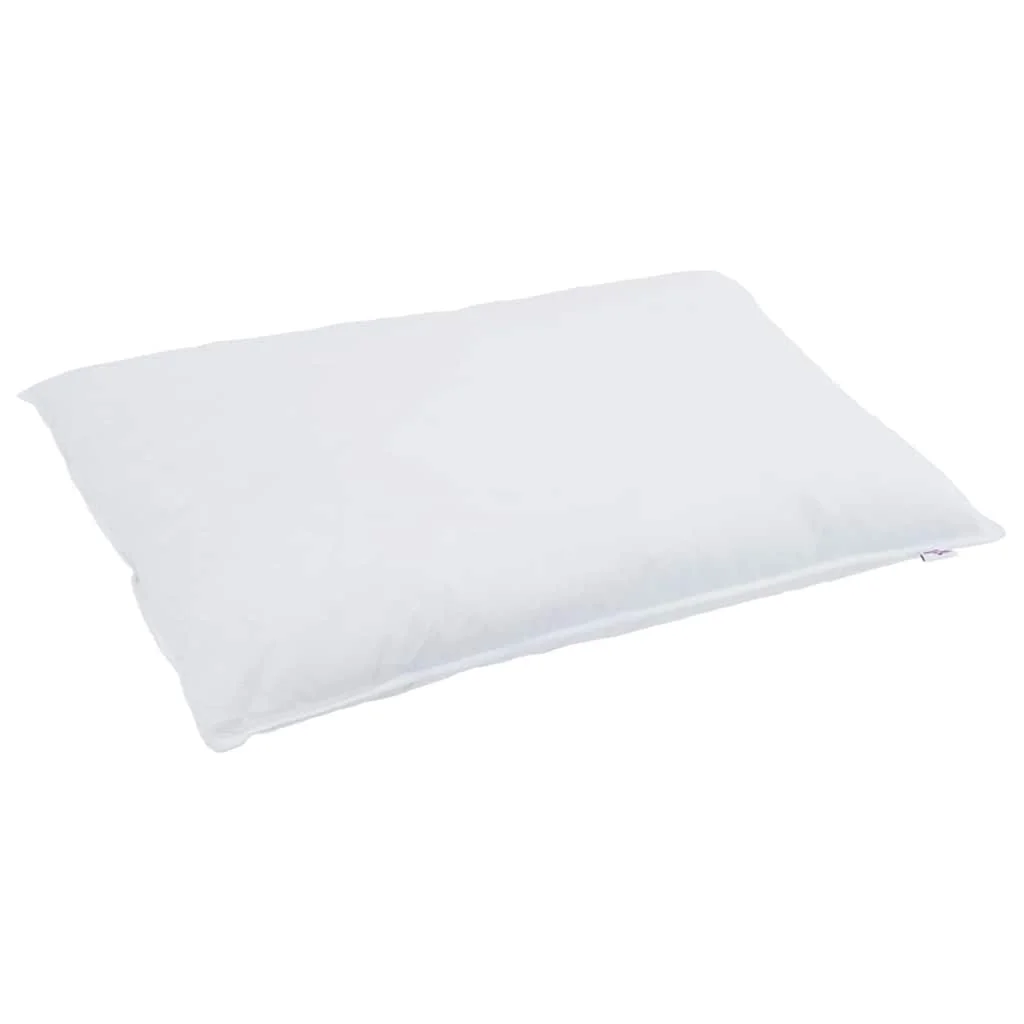 Paplan Egyéb párnával 2 pcs Fehér 155 x 220 cm Pehely