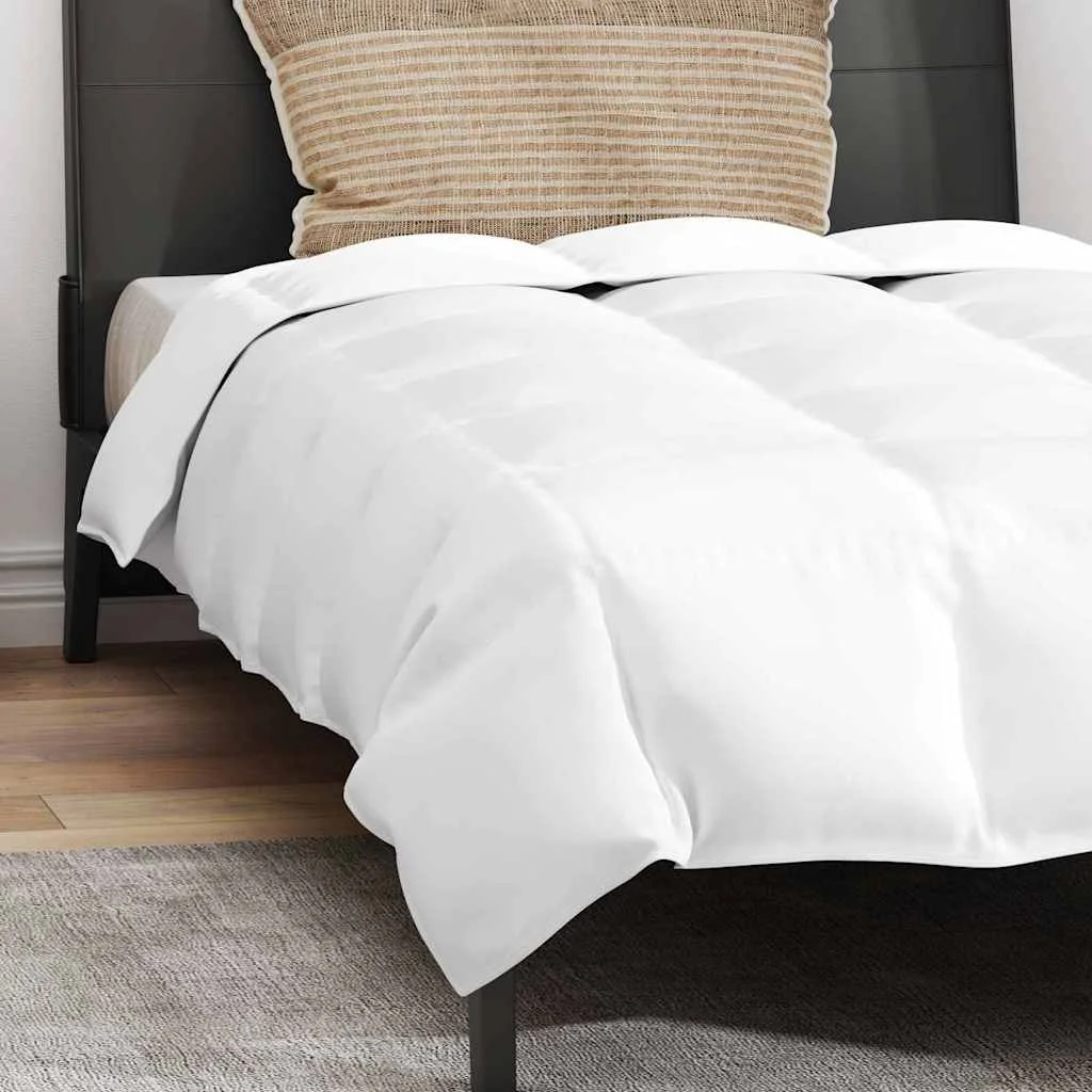 Paplan Egyéb párnával 2 pcs Fehér 155 x 220 cm Pehely