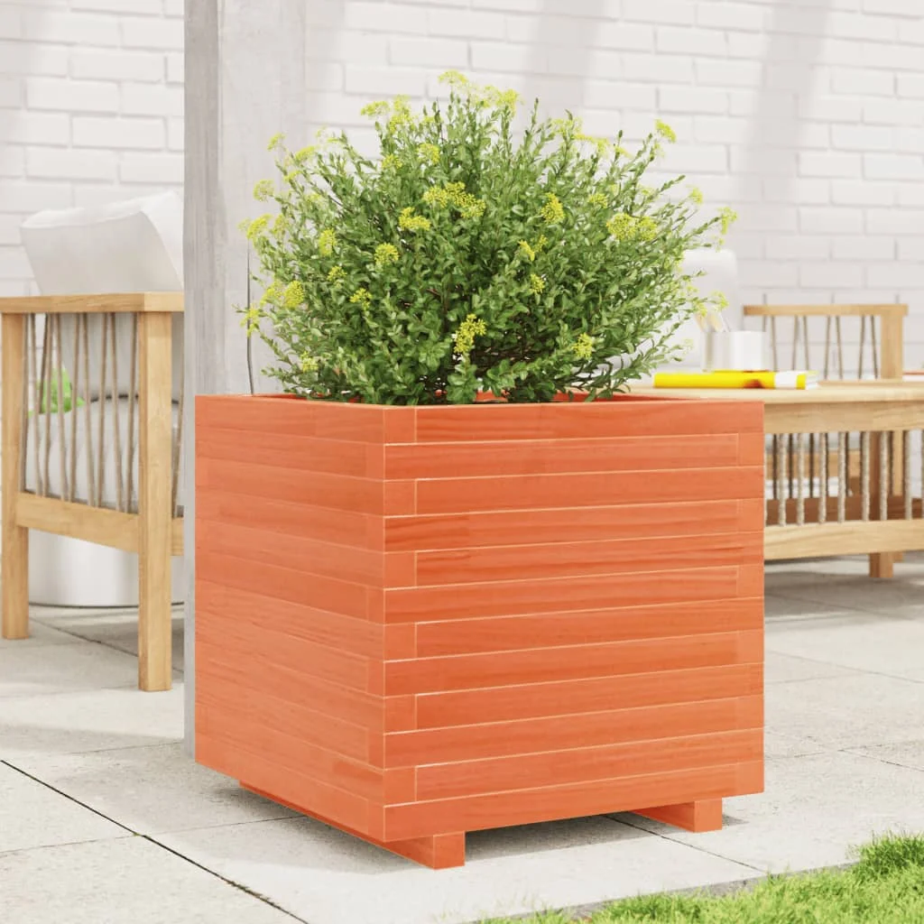 Viaszbarna tömör fenyőfa kerti virágláda 50 x 50 x 49,5 cm