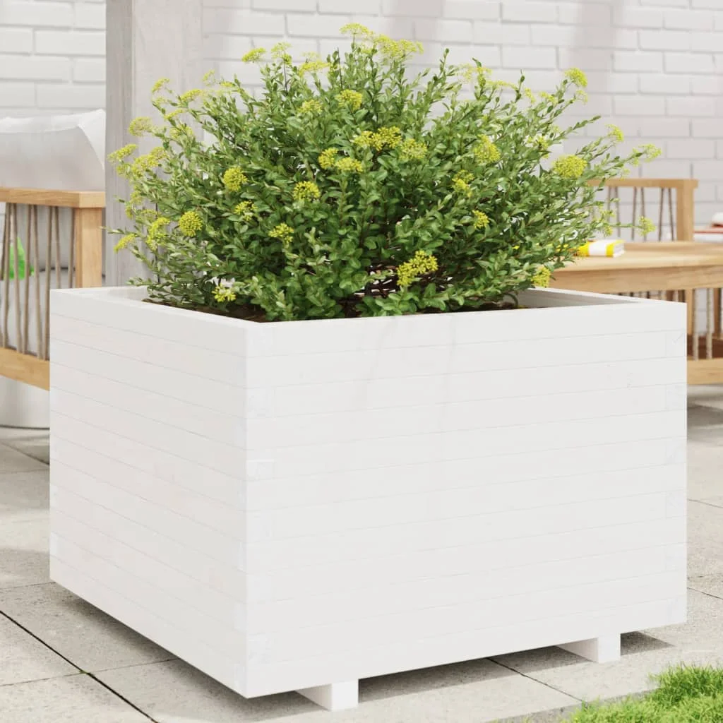Fehér tömör fenyő virágláda 70 x 70 x 49,5 cm